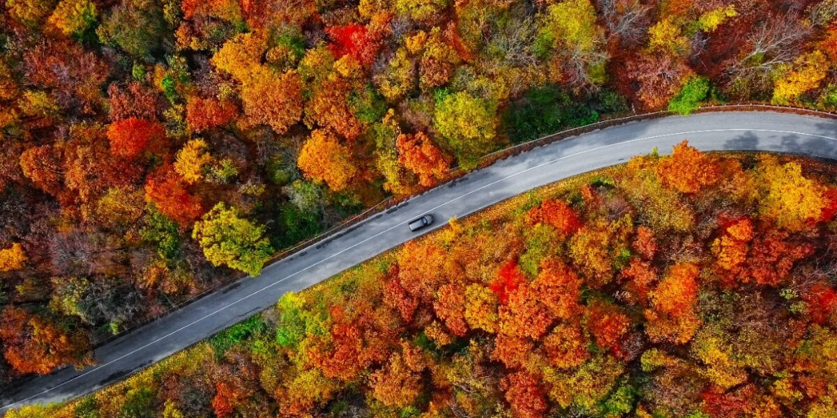 Golden Years, Golden Leaves: Top Late-Season Autumn Trips